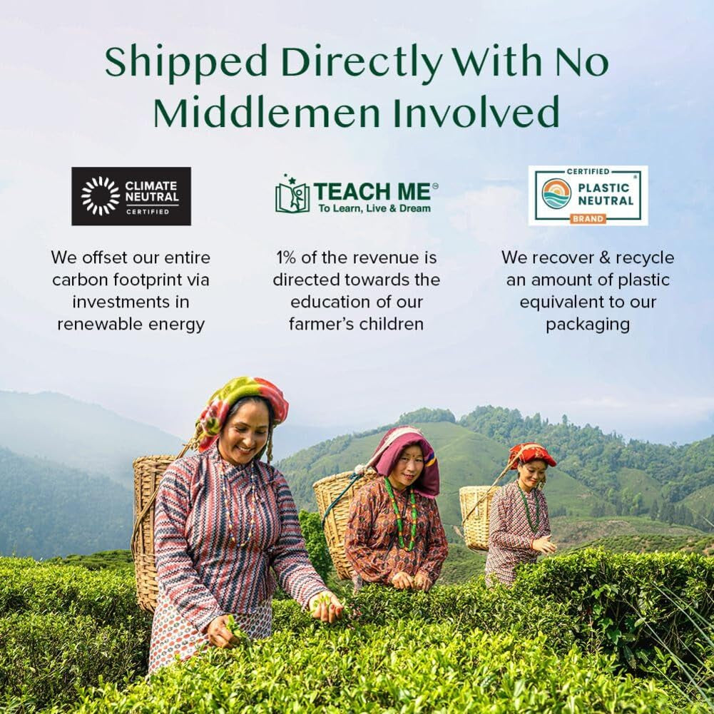 , Assorted Green Tea Bags Sampler (5 Flavors, 20 Ecofriendly Pyramid Tea Bags) I Gift Ideas for Women & Men | Himalayan Green Tea Varieties | Gluten Free & Non GMO | Gift Ideas for Him/Her