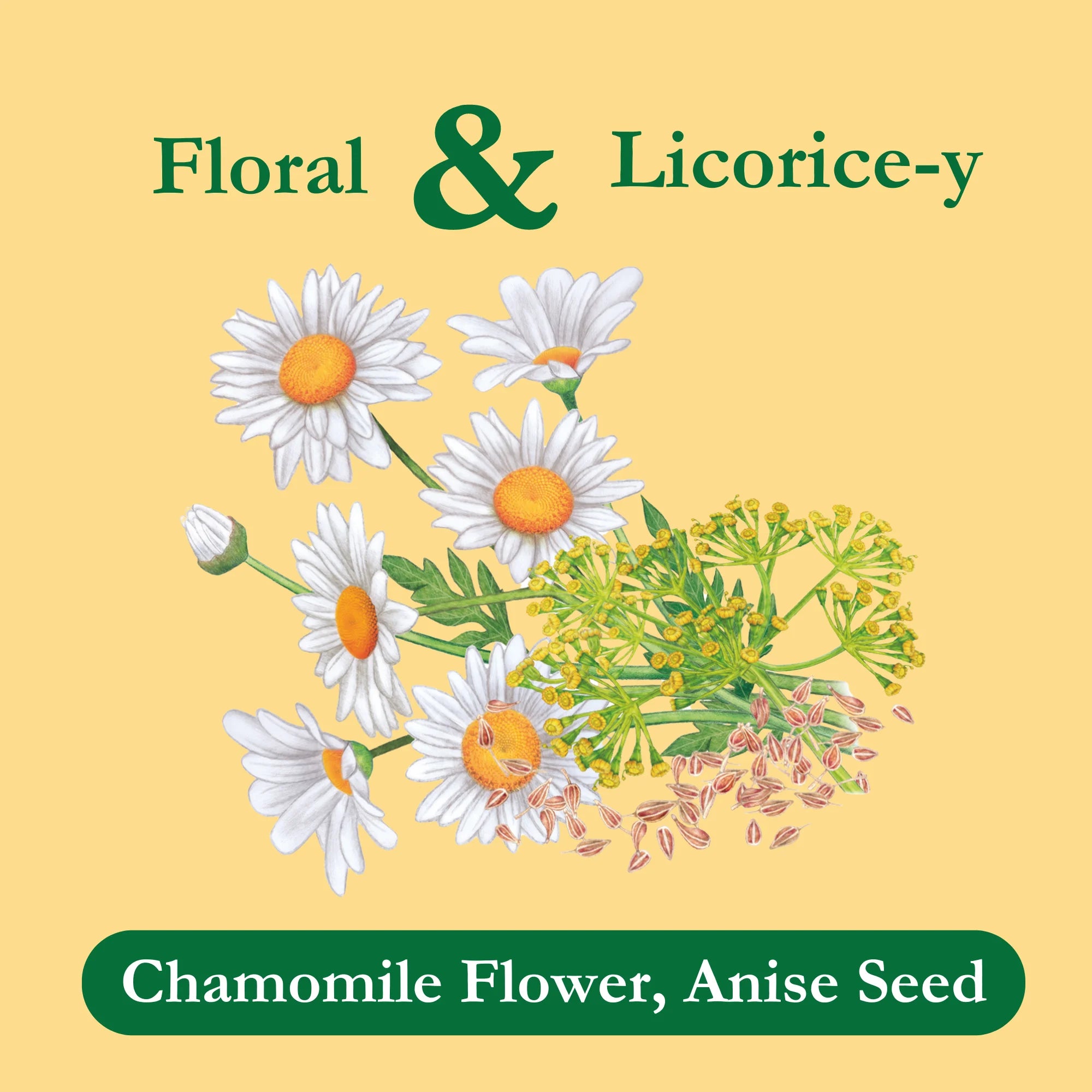 Chamomile Tea with Anise, Herbal Tea, Caffeine-Free Tea, Herbal Tea Bags, 24 Count, Pack of 1